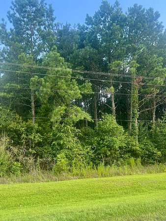 1.8 Acres of Residential Land for Sale in Cottonwood, Alabama