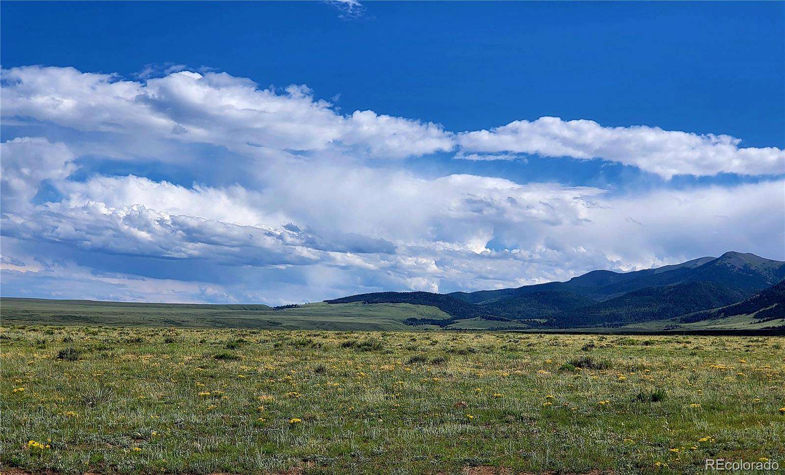 76.3 Acres of Agricultural & Residential Land for Sale in Westcliffe, Colorado