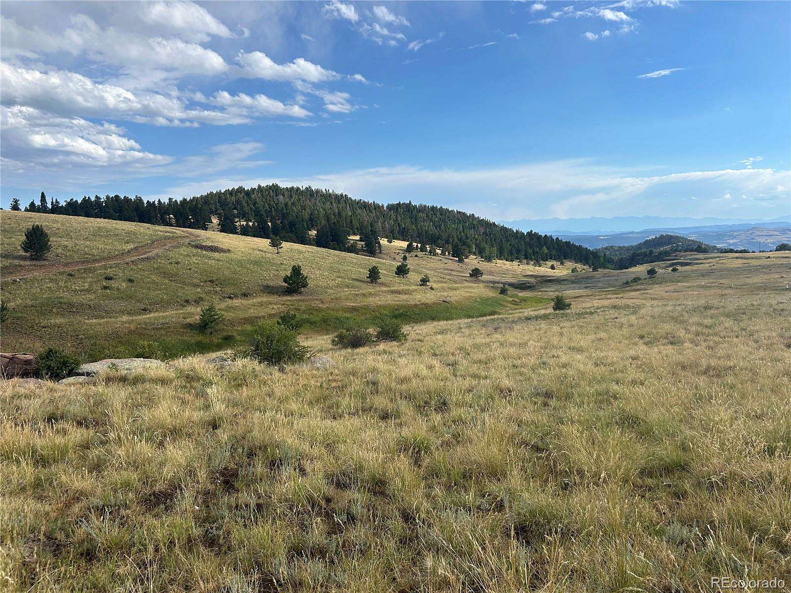 9.42 Acres of Land for Sale in Cripple Creek, Colorado
