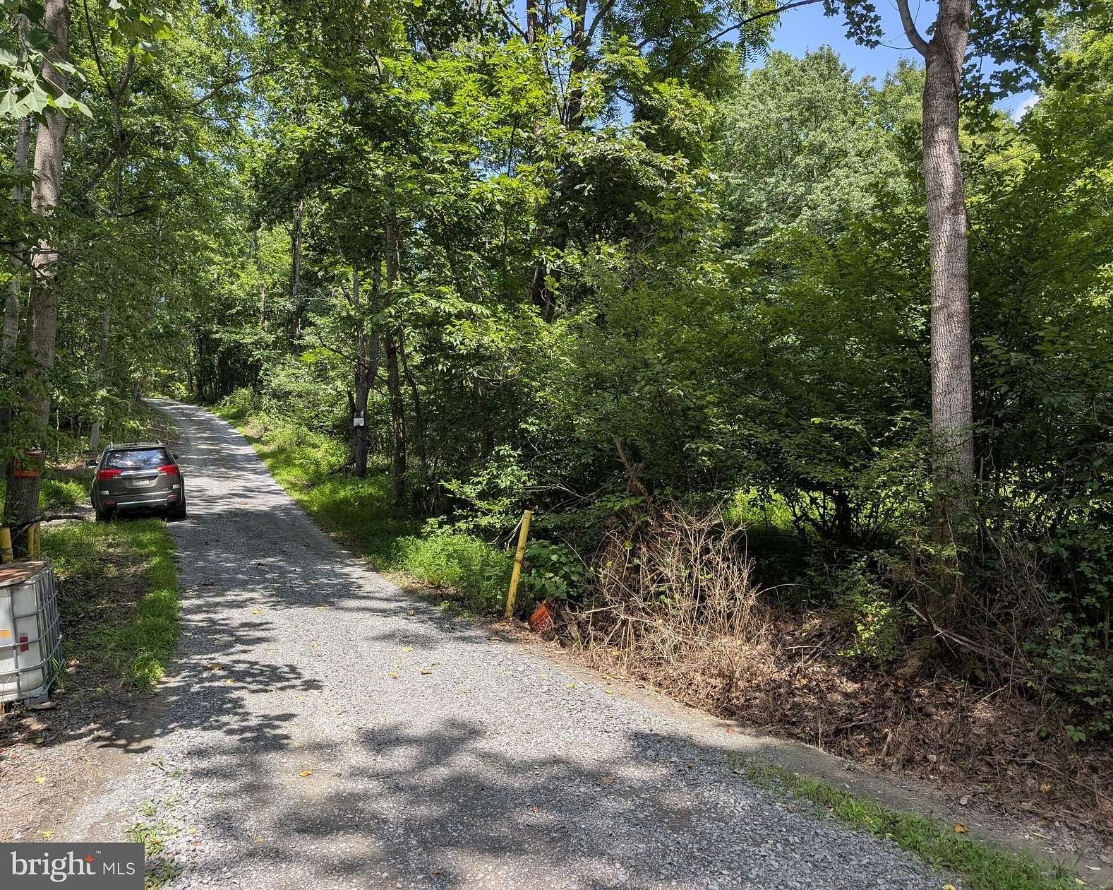 85 Acres of Land for Sale in Berkeley Springs, West Virginia
