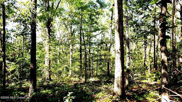 160 Acres of Recreational Land for Sale in Abbeville, Mississippi
