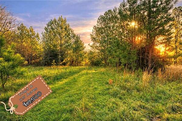 10.5 Acres of Recreational & Residential Land for Sale in Abbeville, South Carolina