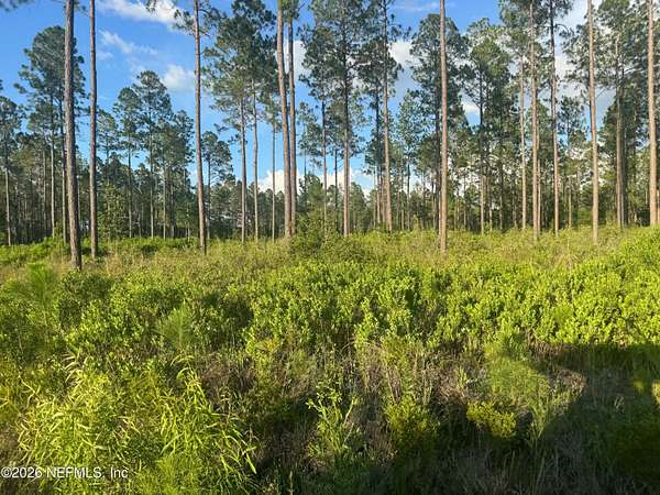 10 Acres of Recreational & Residential Land for Sale in Lake Butler, Florida