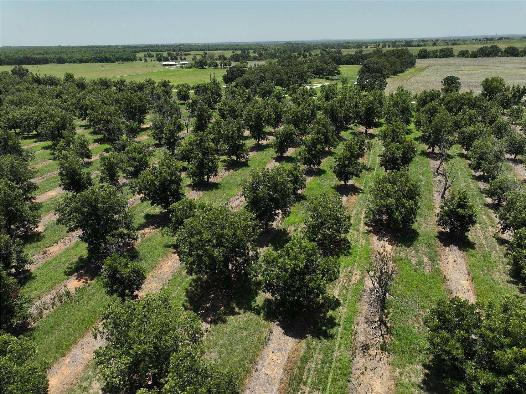81.7 Acres of Agricultural Land for Sale in Comanche, Texas