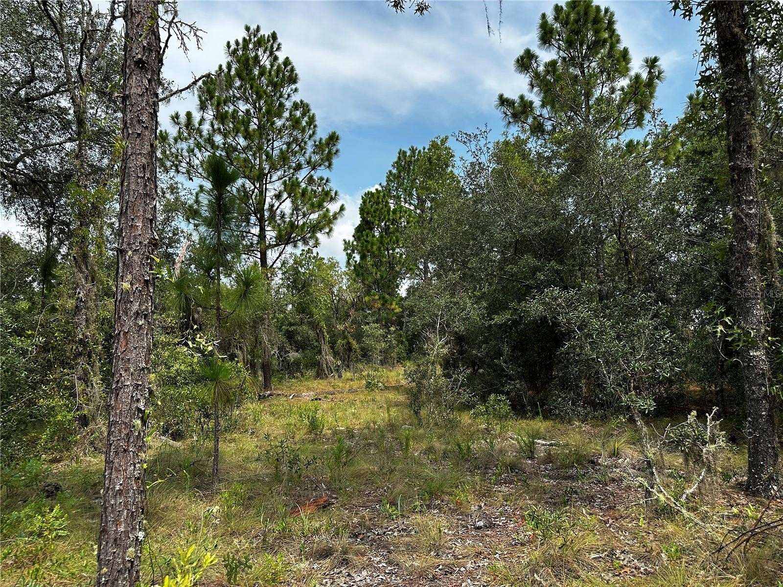 1.25 Acres of Residential Land for Sale in Williston, Florida