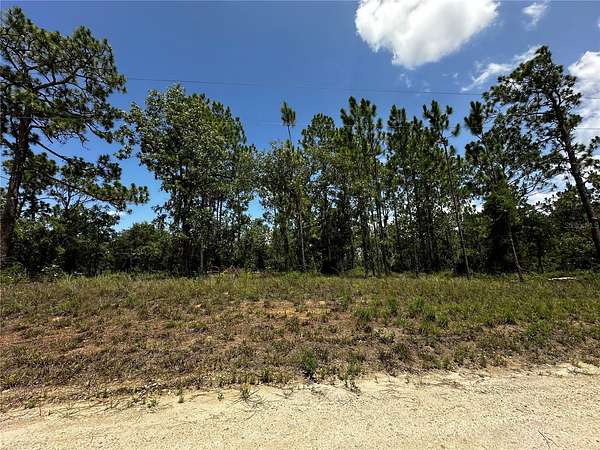 1.25 Acres of Residential Land for Sale in Williston, Florida