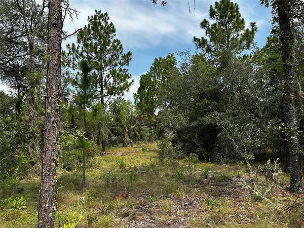 1.25 Acres of Residential Land for Sale in Williston, Florida