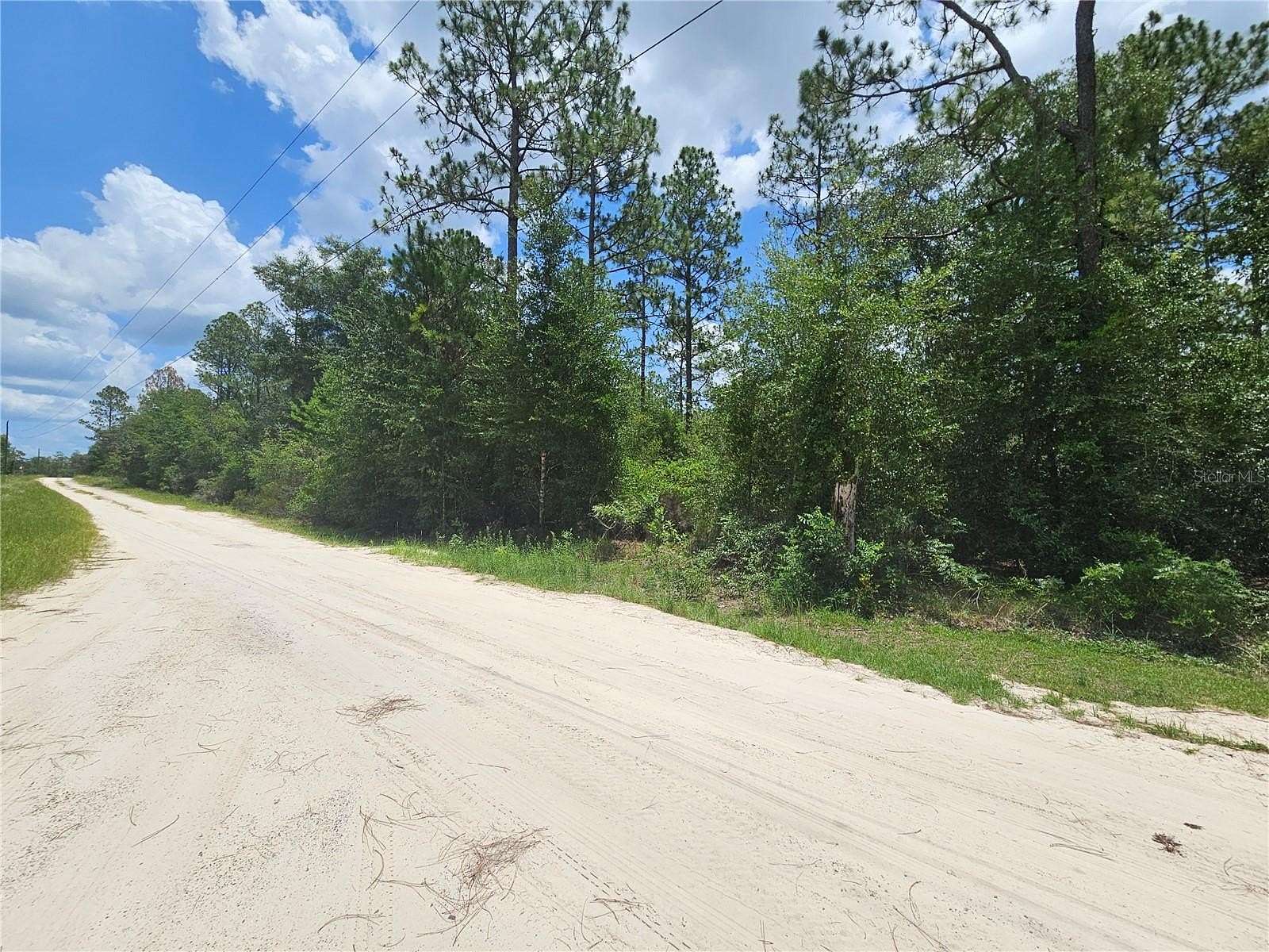 4 Acres of Residential Land for Sale in Williston, Florida