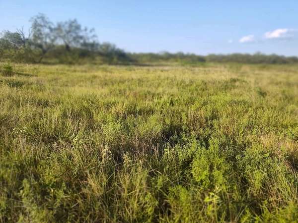 1.53 Acres of Land for Sale in Wortham, Texas