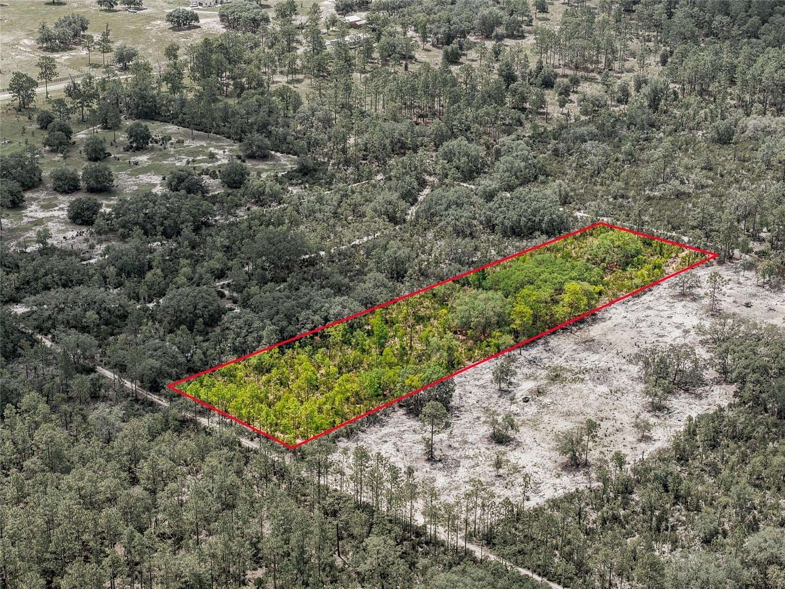 1.25 Acres of Residential Land for Sale in Bronson, Florida