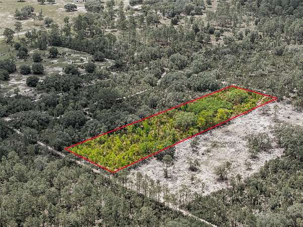 1.25 Acres of Residential Land for Sale in Bronson, Florida