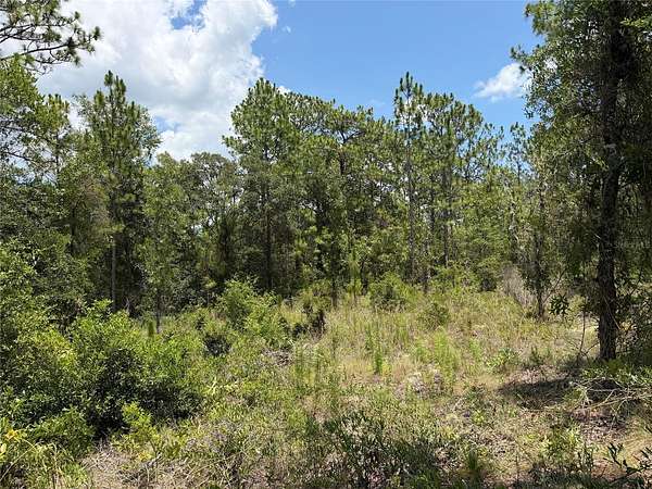 0.23 Acres of Residential Land for Sale in Williston, Florida