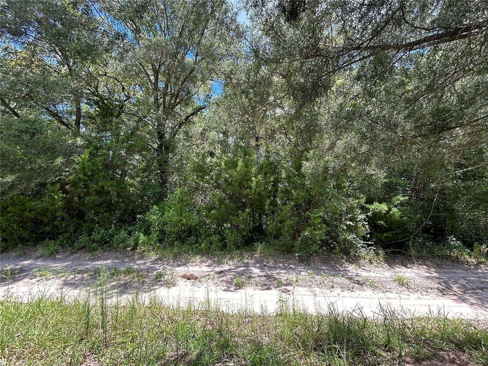 0.23 Acres of Residential Land for Sale in Williston, Florida