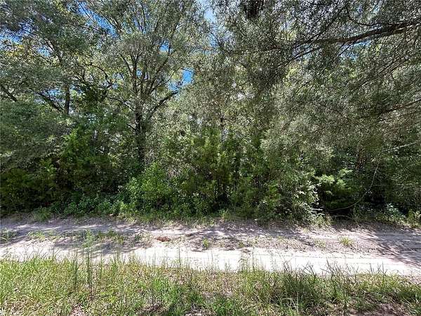 0.23 Acres of Residential Land for Sale in Williston, Florida