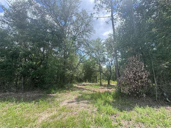 1 Acre of Residential Land for Sale in Williston, Florida