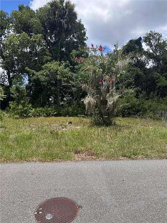 0.17 Acres of Residential Land for Sale in Ocala, Florida
