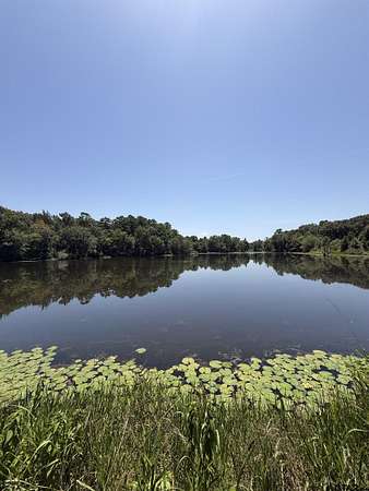 44.4 Acres of Land for Sale in Bullard, Texas