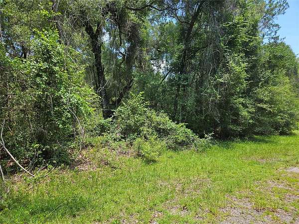 0.23 Acres of Residential Land for Sale in Dunnellon, Florida