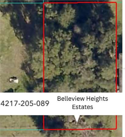 0.22 Acres of Residential Land for Sale in Summerfield, Florida
