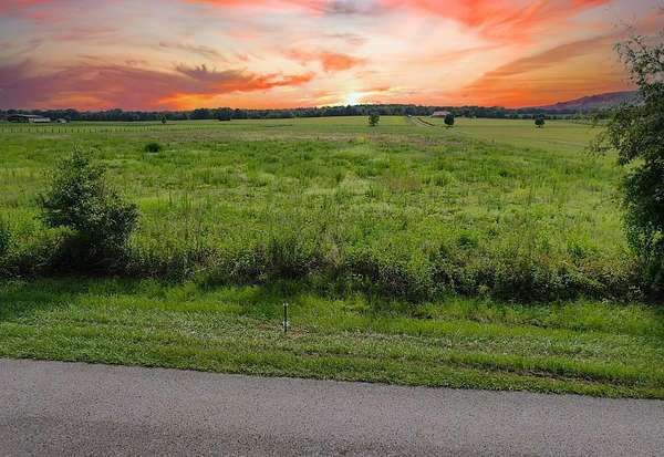 10.2 Acres of Land for Sale in Dunnellon, Florida