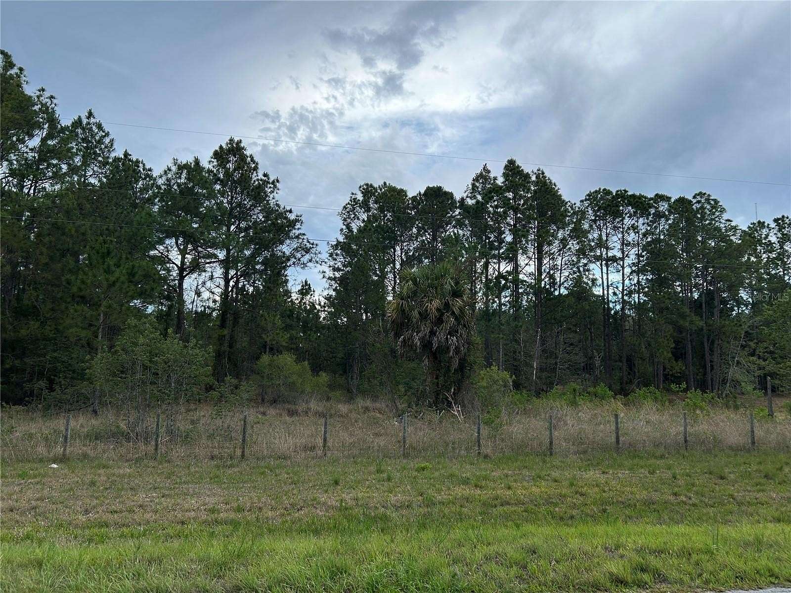 10.5 Acres of Recreational & Residential Land for Sale in Morriston, Florida
