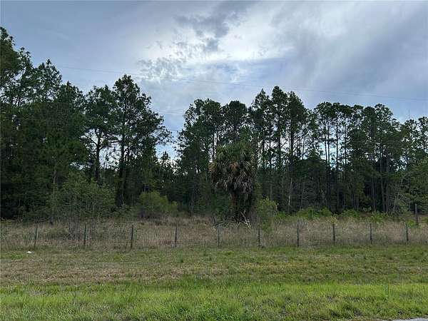 10.5 Acres of Recreational & Residential Land for Sale in Morriston, Florida