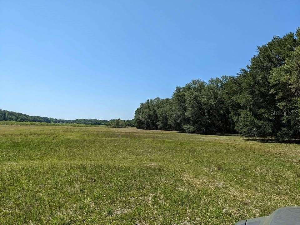 20 Acres of Agricultural Land for Sale in Chiefland, Florida