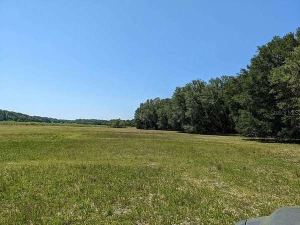 20 Acres of Agricultural Land for Sale in Chiefland, Florida