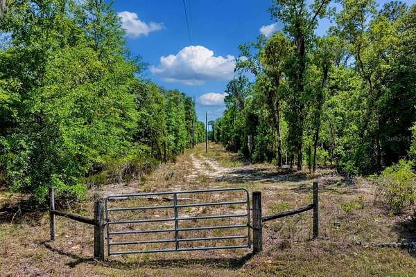 30 Acres of Recreational & Residential Land for Sale in Williston, Florida