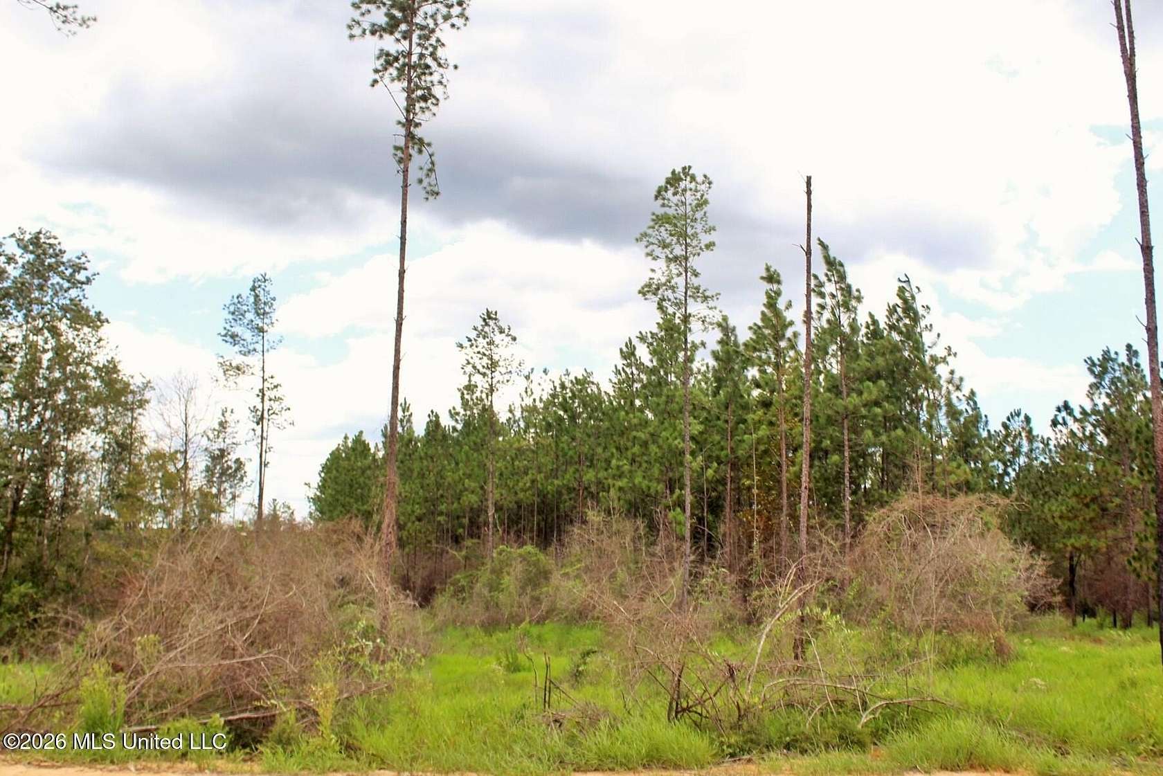 8.83 Acres of Residential Land for Sale in Lucedale, Mississippi