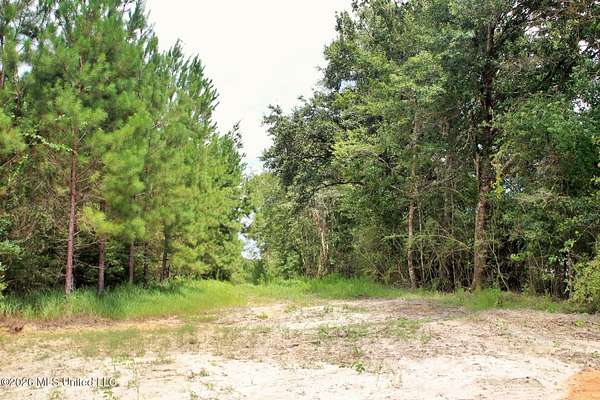 66 Acres of Recreational & Residential Land for Sale in Lucedale, Mississippi