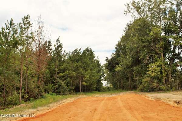 14 Acres of Land for Sale in Lucedale, Mississippi