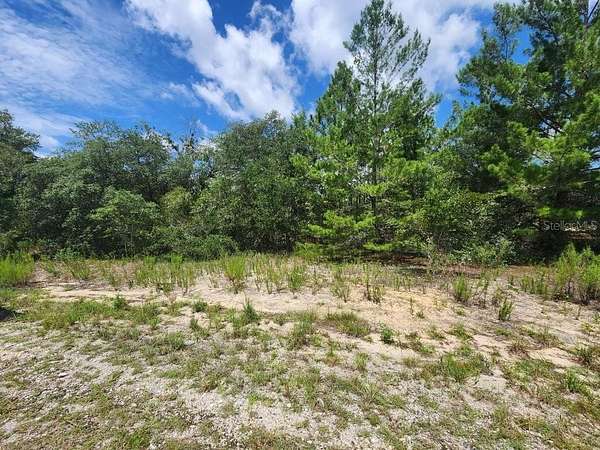 0.99 Acres of Residential Land for Sale in Dunnellon, Florida