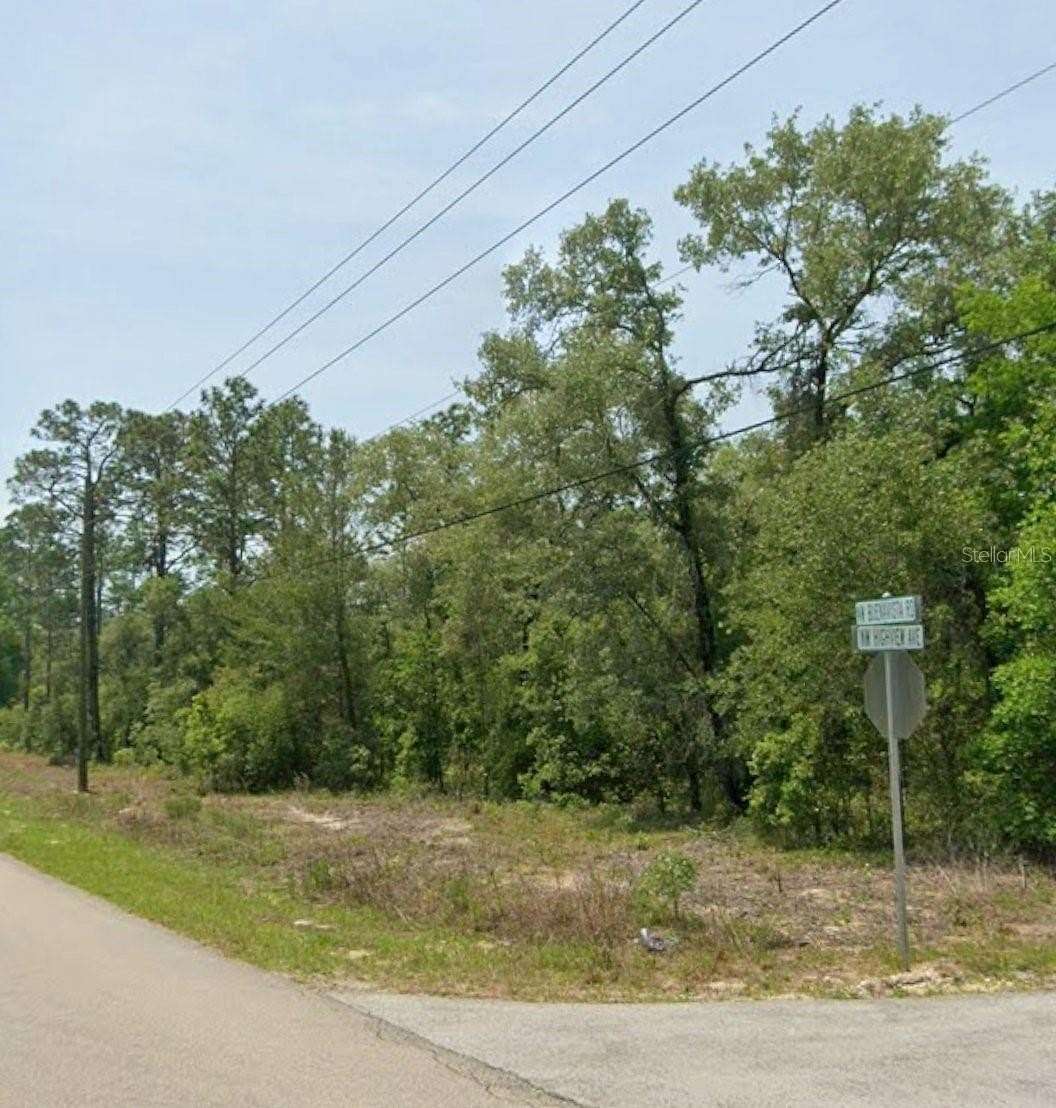 0.25 Acres of Residential Land for Sale in Dunnellon, Florida