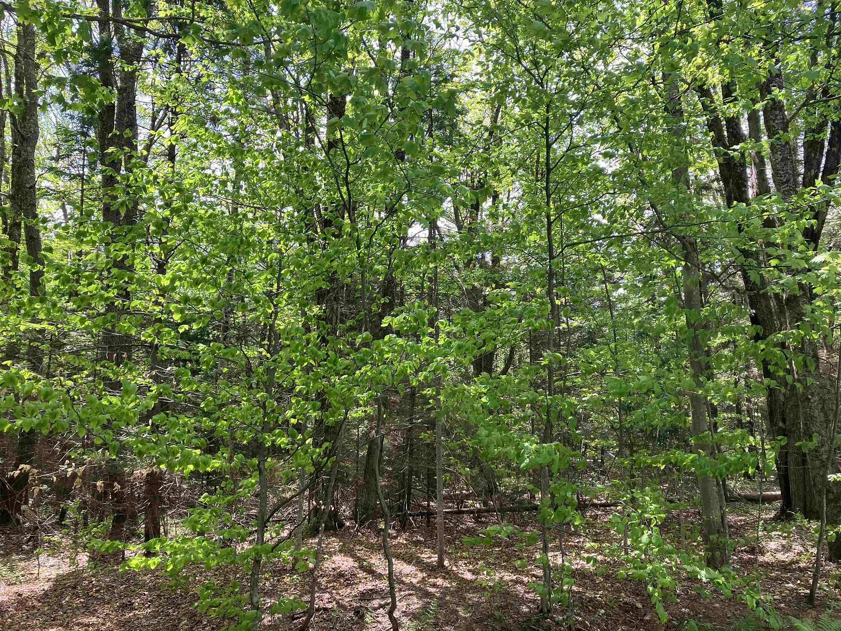 0.5 Acres of Residential Land for Sale in Wilmington, Vermont