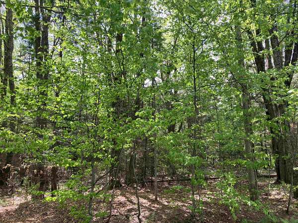 0.5 Acres of Residential Land for Sale in Wilmington, Vermont