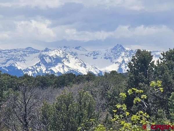 35.3 Acres of Recreational & Residential Land for Sale in Montrose, Colorado