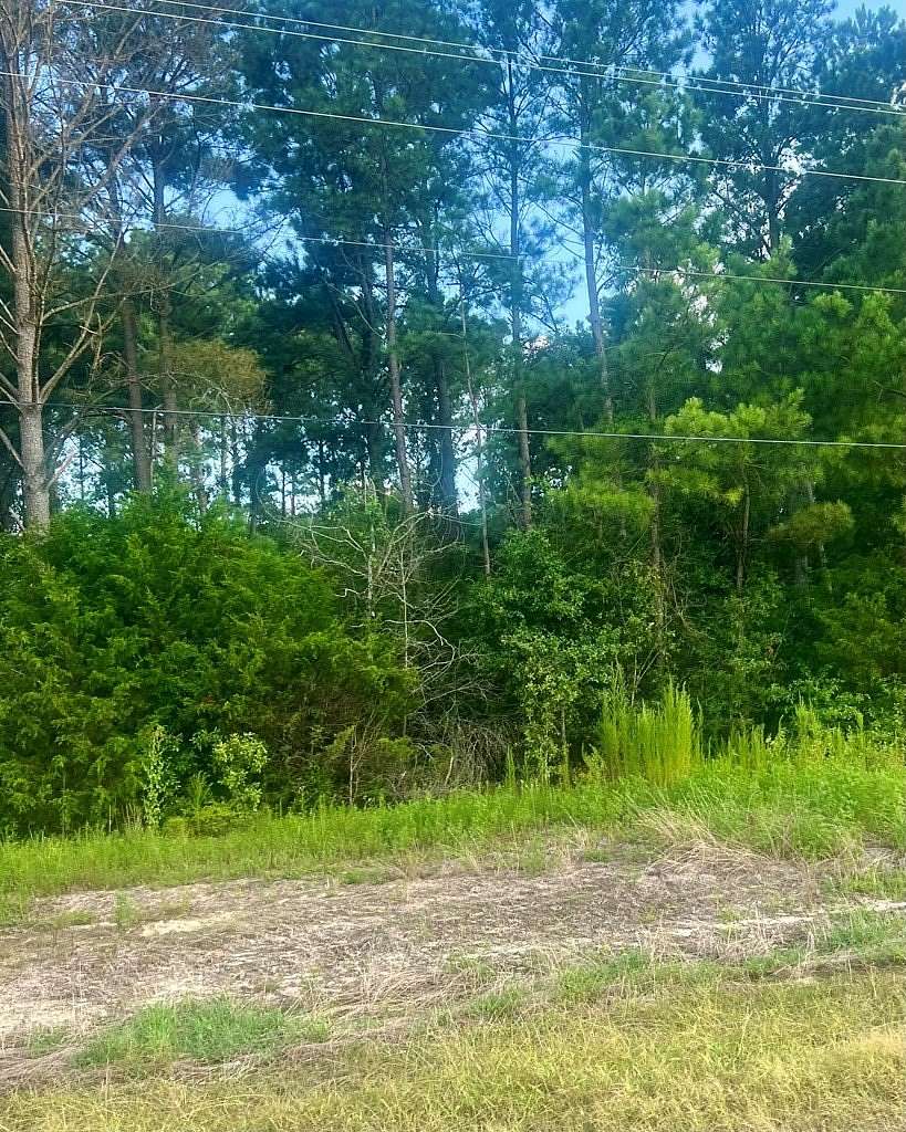 2.5 Acres of Residential Land for Sale in Cottonwood, Alabama