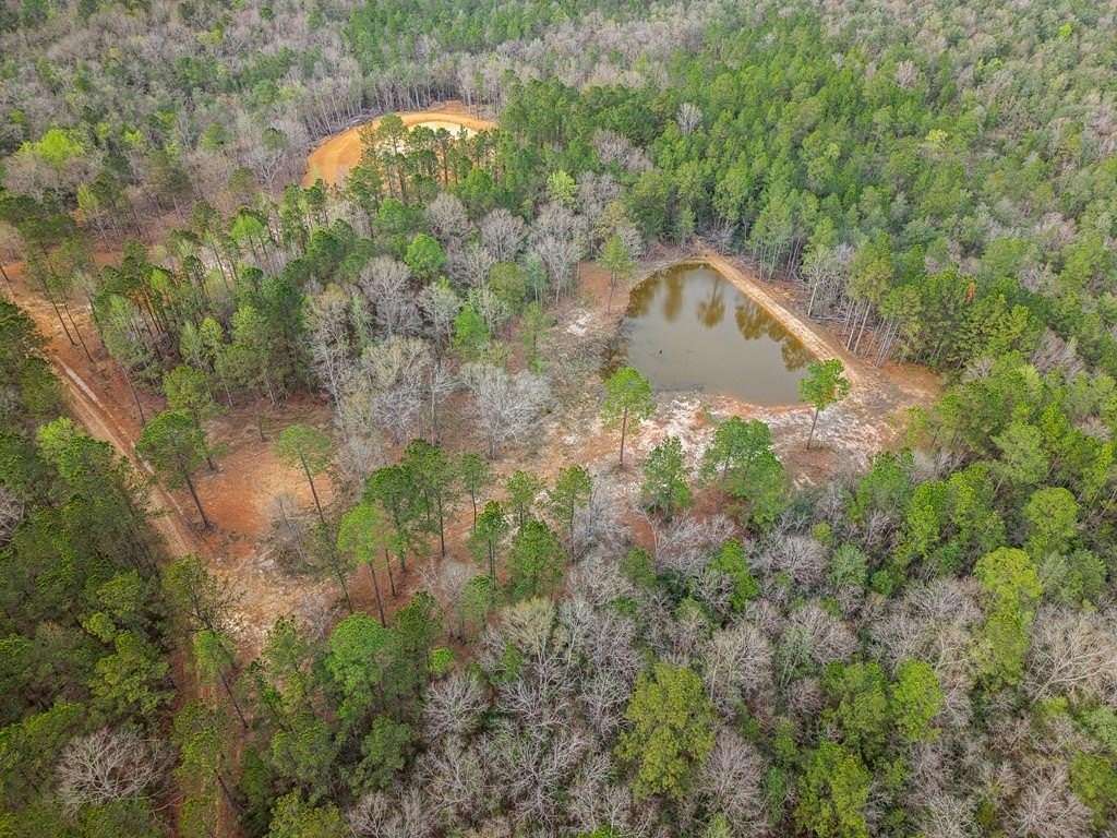 90.6 Acres of Land for Sale in Poplarville, Mississippi