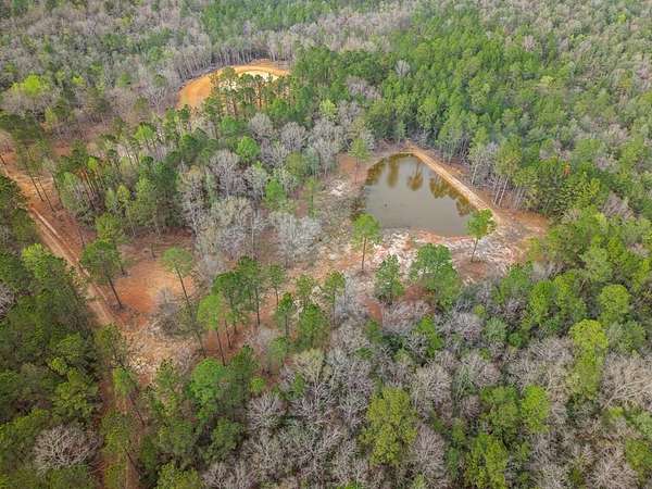 90.6 Acres of Land for Sale in Poplarville, Mississippi