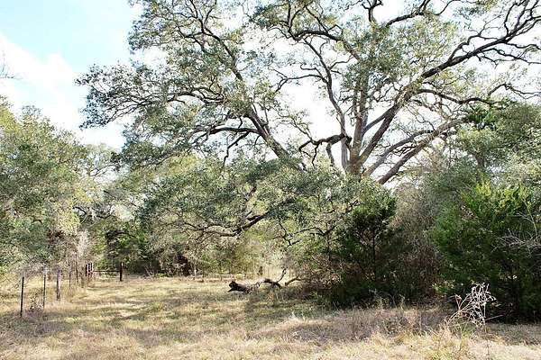 10.8 Acres of Recreational Land for Sale in Columbus, Texas
