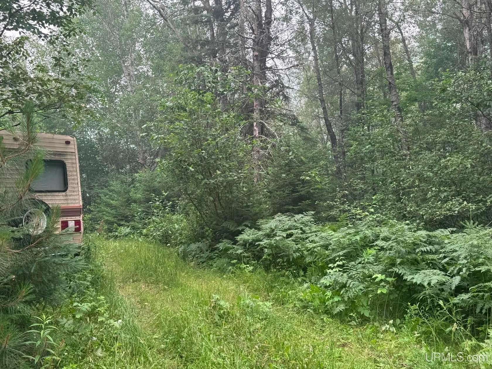26.2 Acres of Recreational & Residential Land for Sale in Republic, Michigan