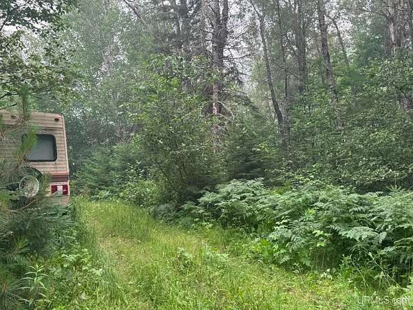 26.2 Acres of Recreational & Residential Land for Sale in Republic, Michigan