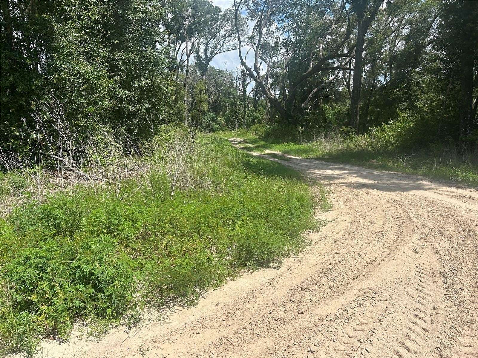 0.35 Acres of Residential Land for Sale in Inverness, Florida