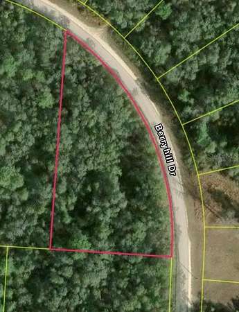 1 Acre of Residential Land for Sale in Webster, Florida