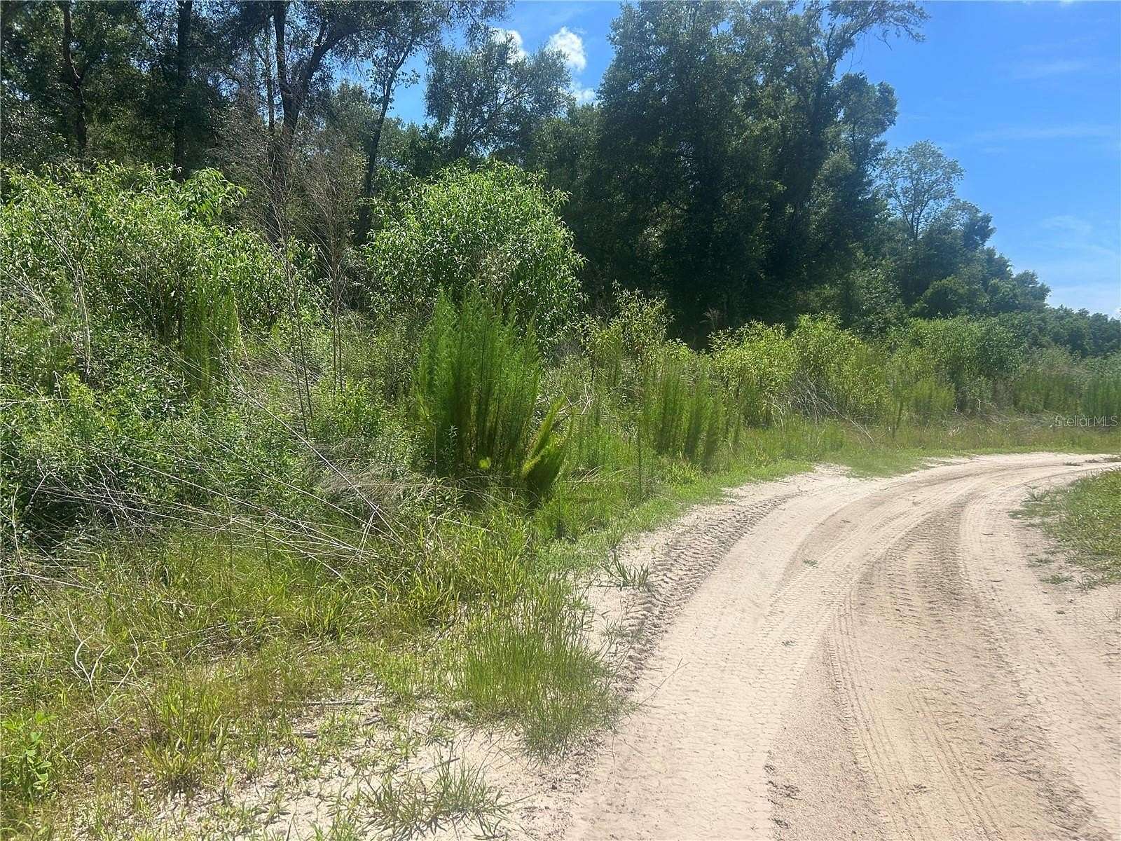 4.42 Acres of Residential Land for Sale in Inverness, Florida