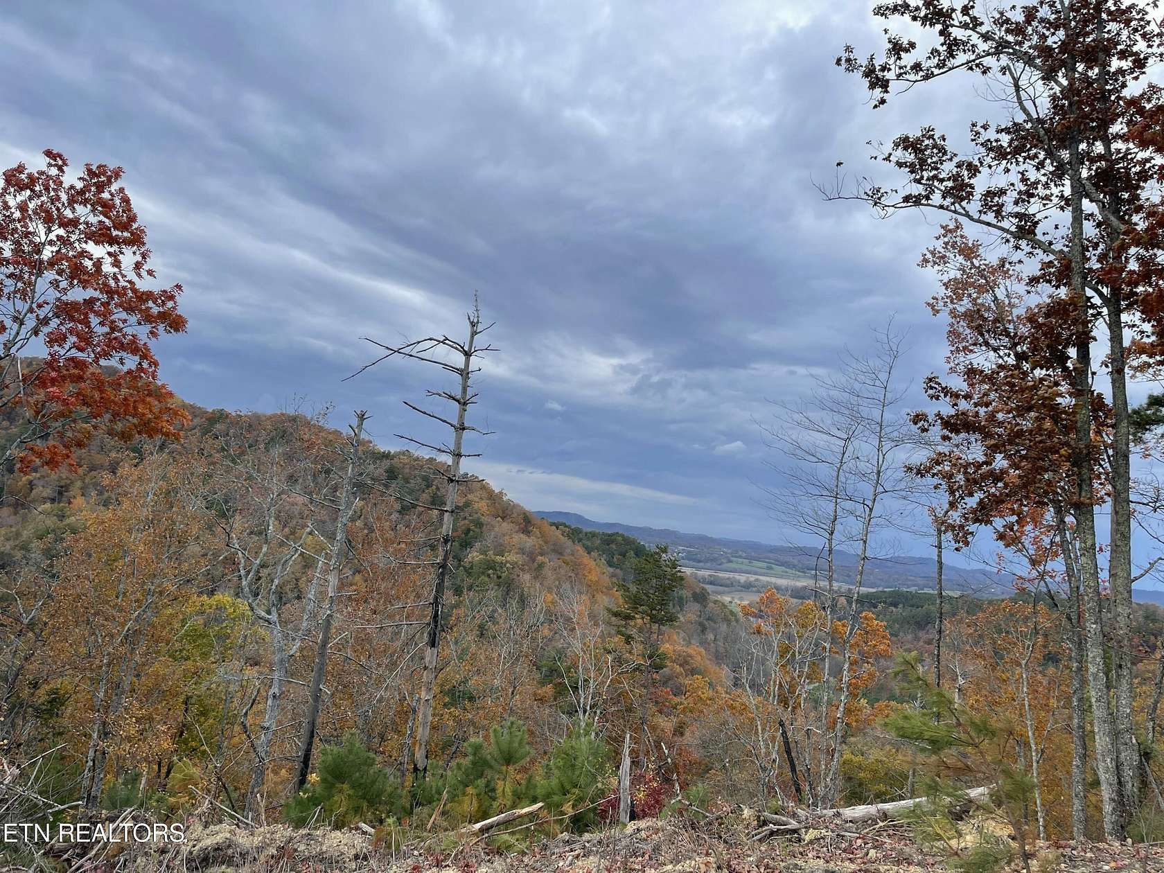 5 Acres of Residential Land for Sale in Tellico Plains, Tennessee
