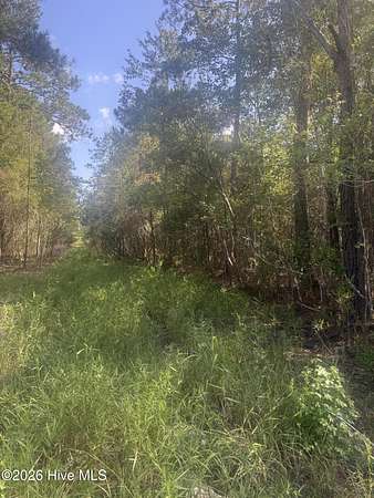 0.34 Acres of Land for Sale in Southport, North Carolina