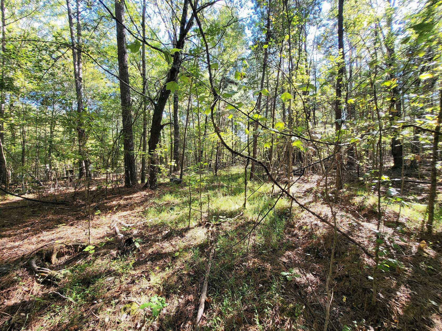 1 Acre of Residential Land for Sale in Crossville, Tennessee