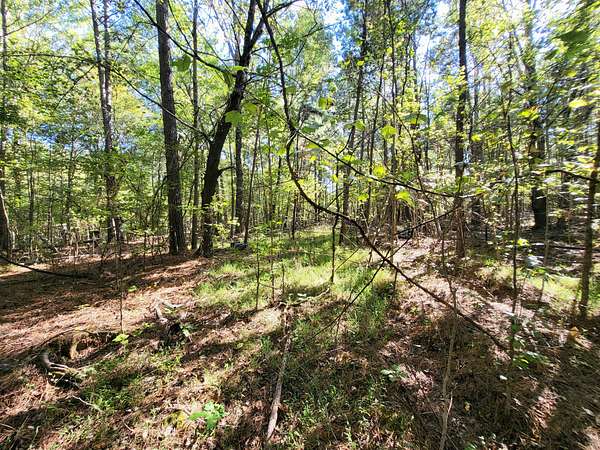 1 Acre of Residential Land for Sale in Crossville, Tennessee